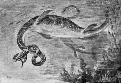 霸王龙体型,霸王龙真的长一身羽毛和厚嘴唇吗