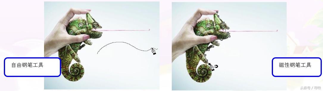 photoshopcs6没法用,photoshopcs6能做出什么效果