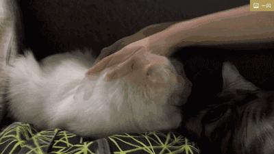 论“在餐厅一边看mao片，一边撸”，是一种什么样的体验？