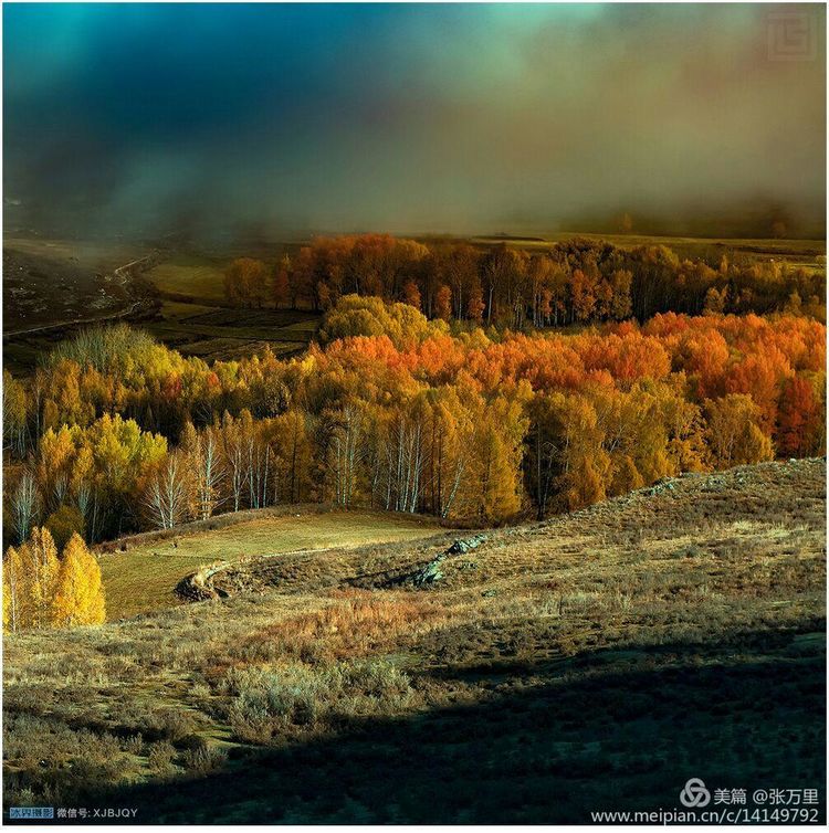 美丽*疆新**100张——美在雪山，美在草原，美在戈壁，美在心灵！