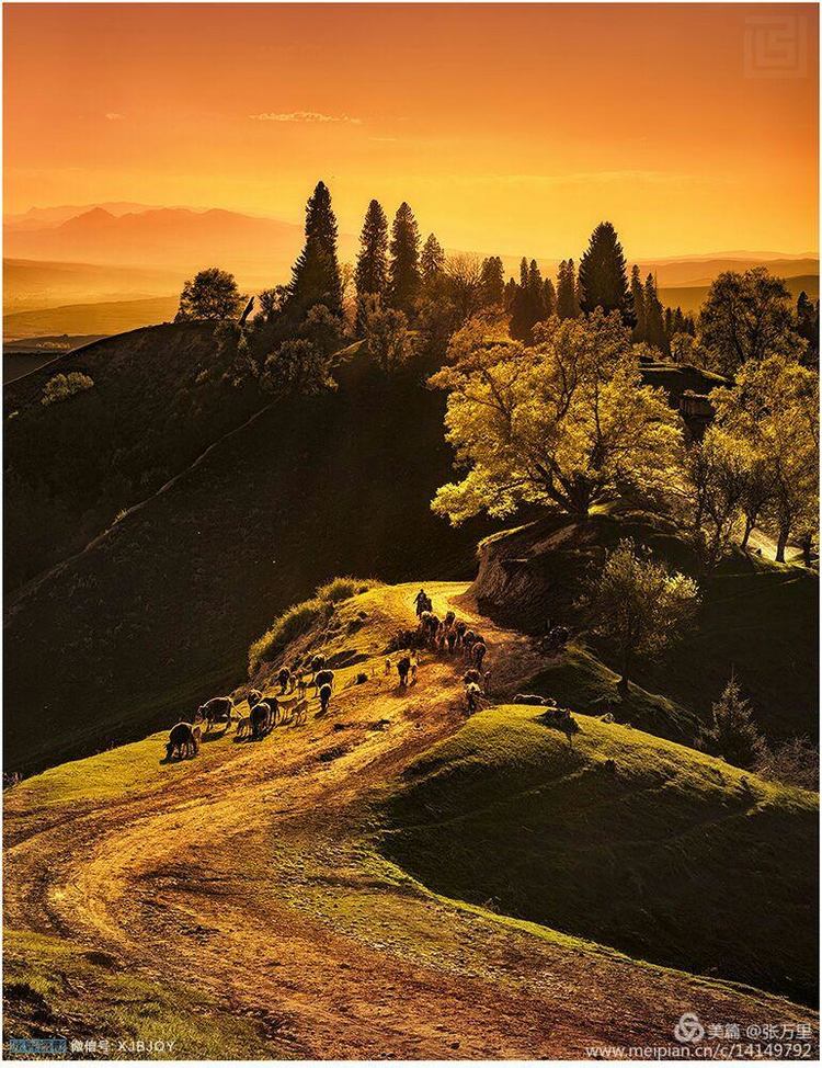 美丽*疆新**100张——美在雪山，美在草原，美在戈壁，美在心灵！