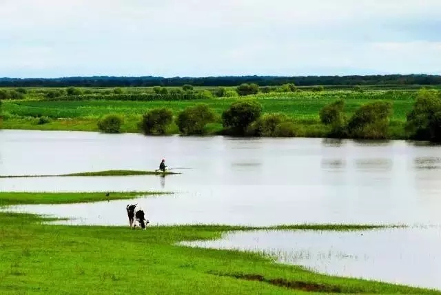 澳洲奶粉好还是俄罗斯奶粉好,为什么妈妈都喜欢欧洲奶粉