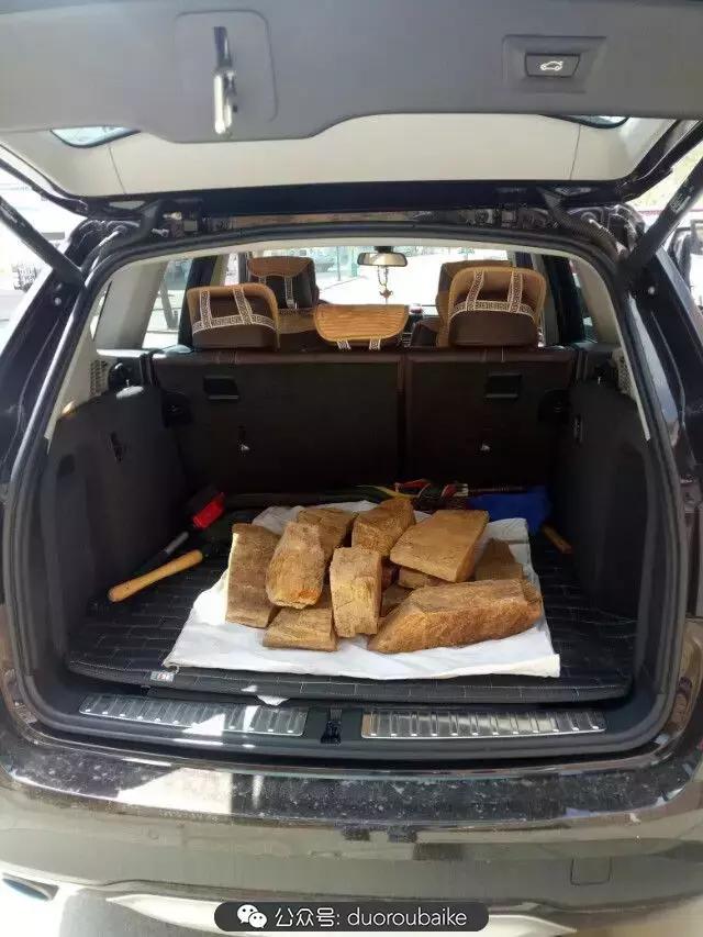 用多肉做花的方法,多肉植物自制方法