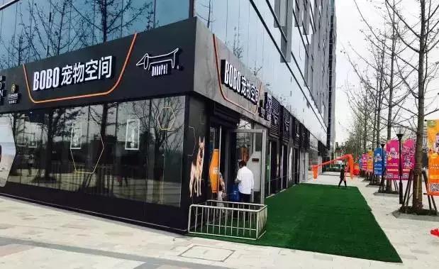 活得不如狗系列之，宠物酒店！