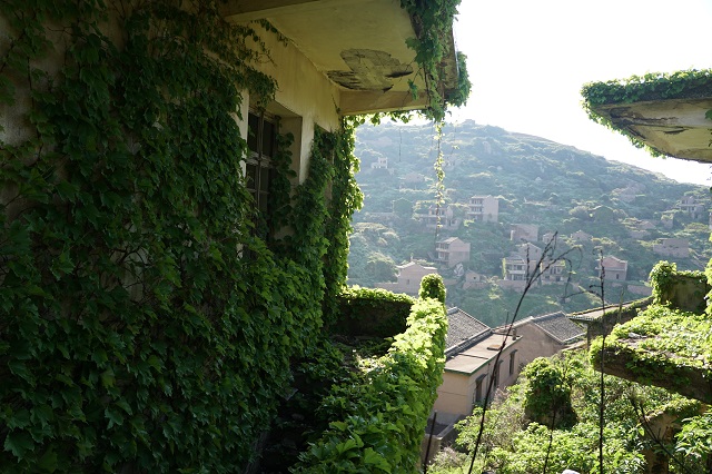 为了旅游凌晨四点出发,什么时间去枸杞岛最好