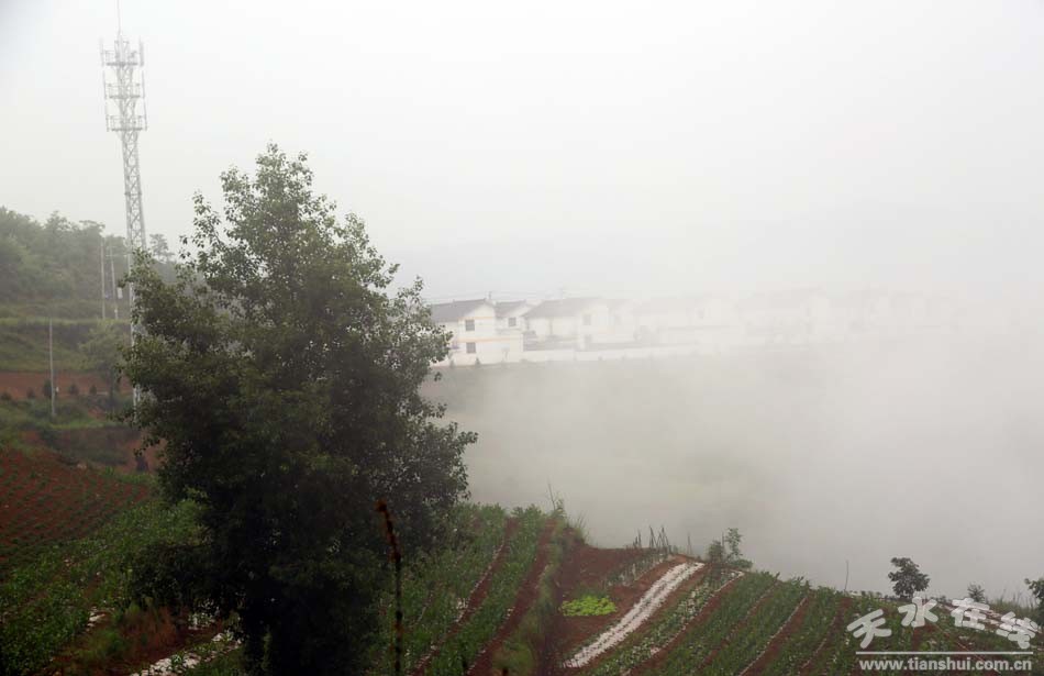天水乡村田园风景图,天水农村自然美景
