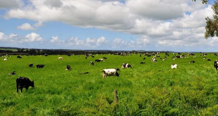 澳洲奶粉好还是俄罗斯奶粉好,为什么妈妈都喜欢欧洲奶粉