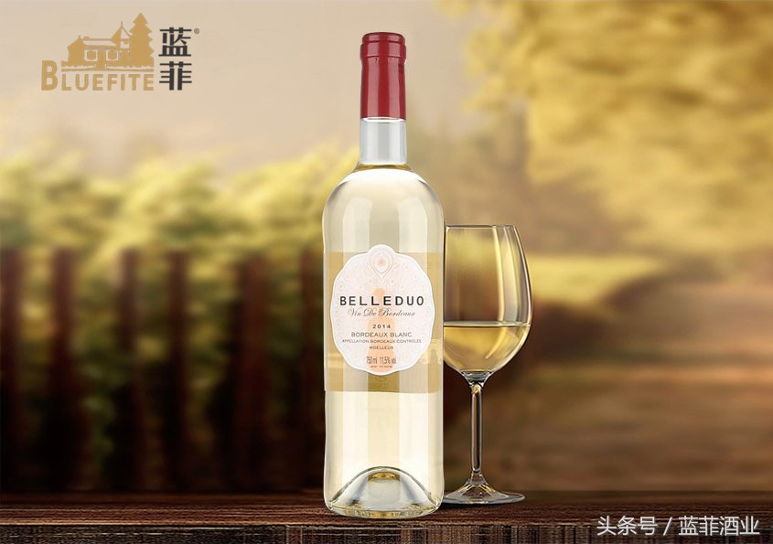 进口红酒代理怎么加盟店,进口红酒加盟有什么小技巧