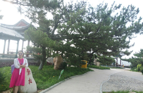 鸽子窝公园看日出免费,鸽子窝公园看日出时间2020