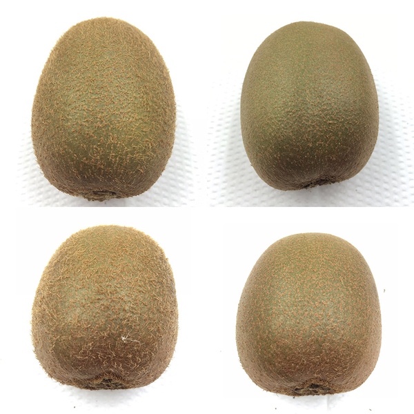 父亲节送什么好用又实惠的礼物,有多少人送礼时不知道送什么