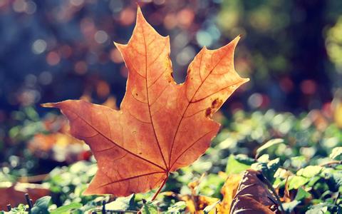 自以为是的女人视频,自以为是的女人特征