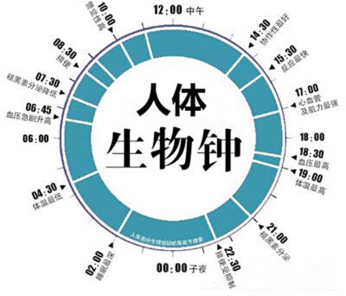 经常熬夜是不是会导致卵巢萎缩,女性熬夜危害卵巢早衰小视频