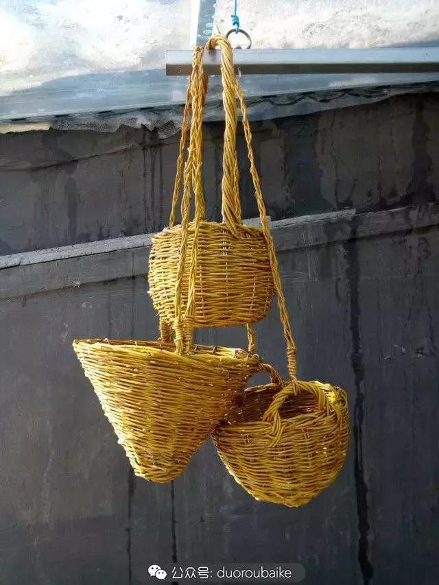 用多肉做花的方法,多肉植物自制方法