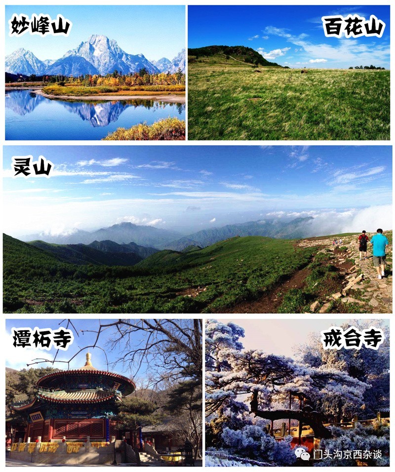 不服不行乐视,不服不行山西