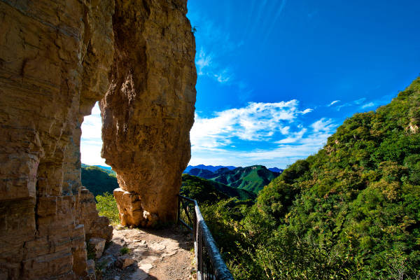 不服不行乐视,不服不行山西