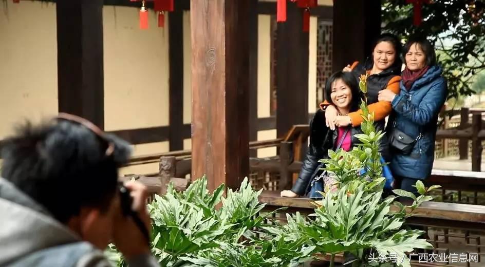 广西苏式园林,合浦周边园林