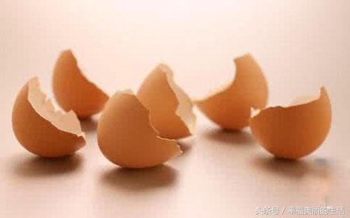 花草除虫的最佳方法,盆栽花除虫防虫技巧