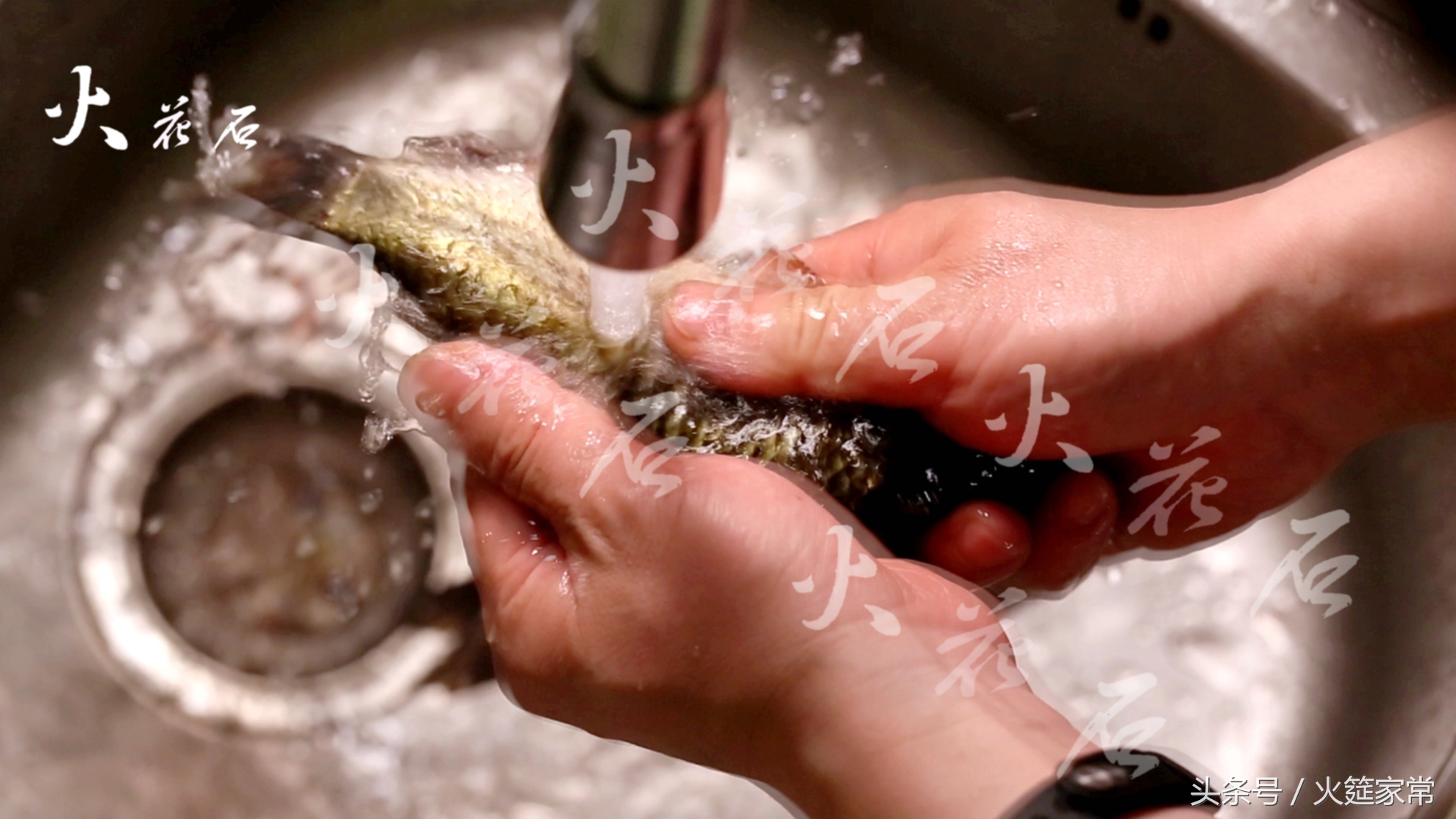 怎么熬鲫鱼汤好喝又简单,鲫鱼汤能够起到健脾开胃的原因