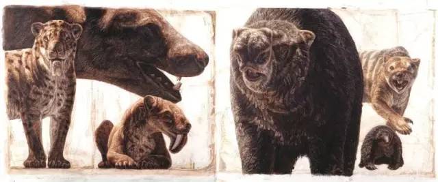 色盲也是超能力？英国专招色盲做夜间侦察兵