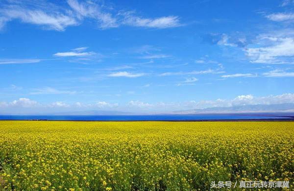 六月初的青海湖怎么样,六月的青海湖