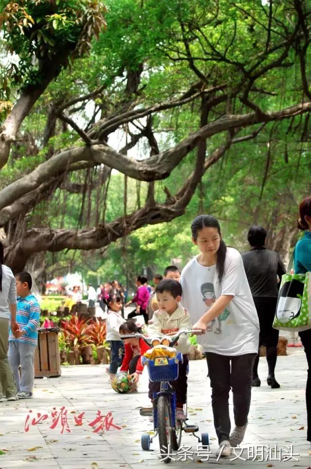 汕头环境好不好呢,汕头居住环境最好的地段