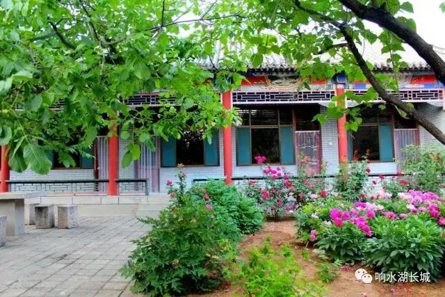 通海大樱桃采摘园优惠团购,响水坝采摘樱桃附近最近地方