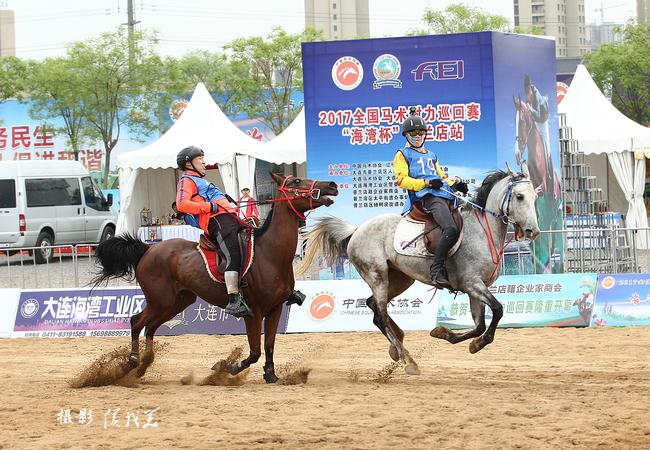 马术耐力赛100公里,马术耐力赛蒙古马