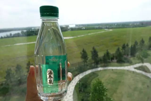 迪士尼该去还是不去,迪士尼真有必要去吗