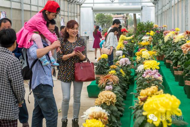 长兴一不小心,湖州长兴成了“中国最美休闲胜地”!