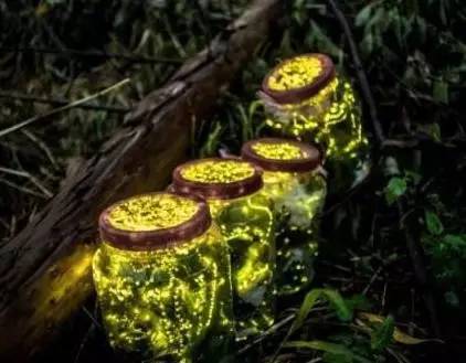 淘宝商家禁售公告,淘宝发布禁售信息防封