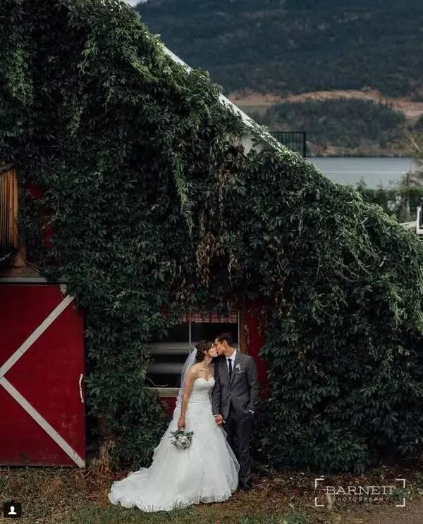 风景这边独好mtv,风景这边独好云南