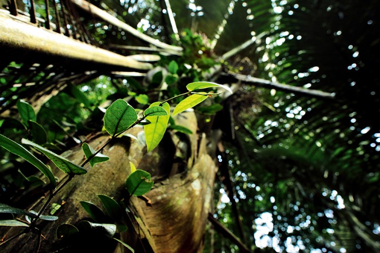 世界物种基因库在什么地方,探秘人类基因