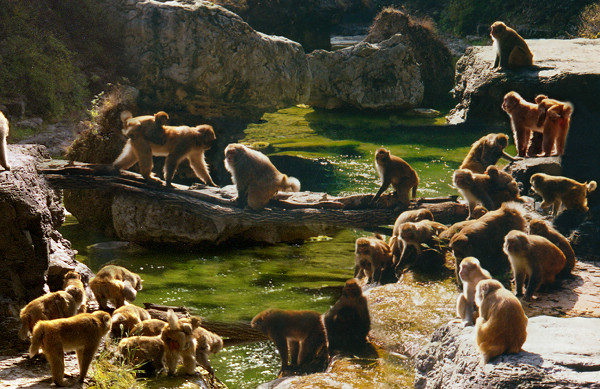 山西蟒河一游,蟒河好风光