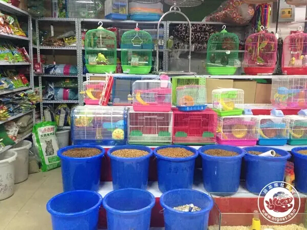 北京回龙观花鸟鱼虫,昌平回龙观附近的花鸟鱼虫市场