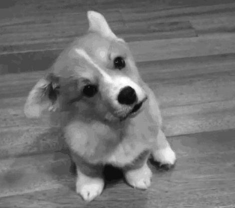 歪脖拯救世界,歪着脖子拯救地球图片