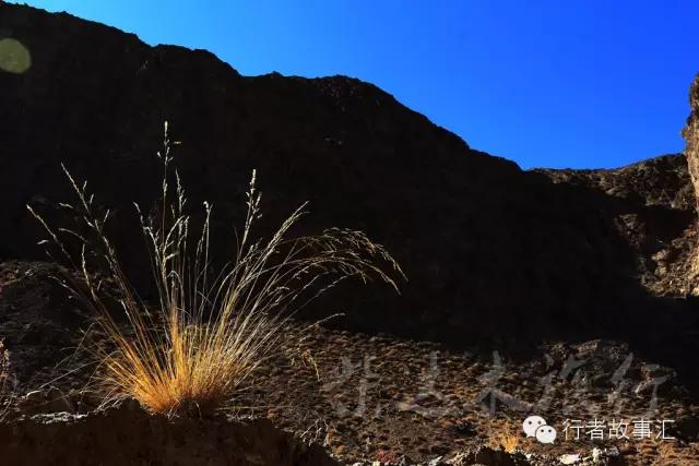 大柴旦翡翠湖旅行攻略,德令哈大柴旦沿途风景