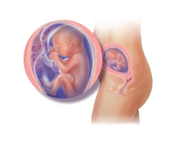 第70课：如何催产