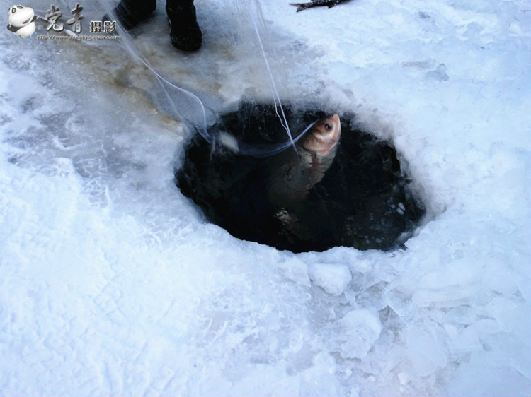 一个人眼中的成都,一个成都人眼中的四川