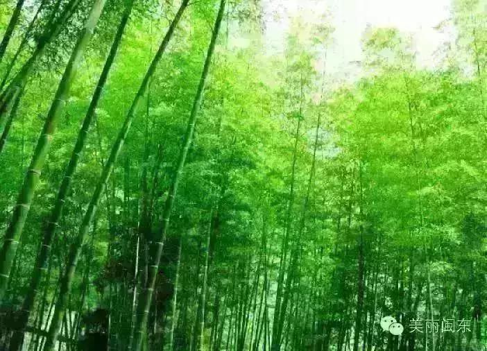 宁德丽城小筑农家乐,宁德周边农家乐一日游