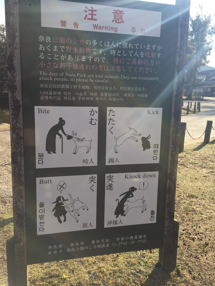 日本的冬日暖阳,日本的冰雪世界