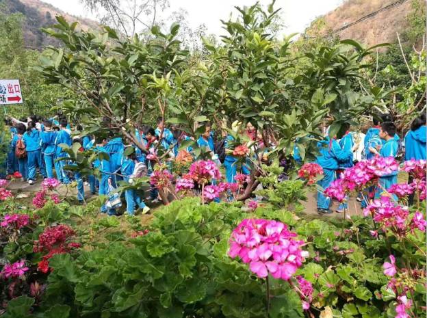 有阳光的日子，都不辜负｜听台商李贤治在川“务农”的“庄园经”