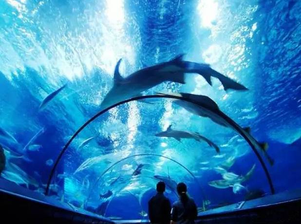 河北带孩子去最好玩的游乐场,河北最大的儿童室内游乐场