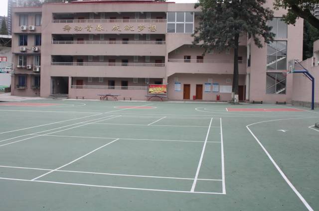 成都126家体育馆免费开放,成都的公共体育馆免费开放有哪些