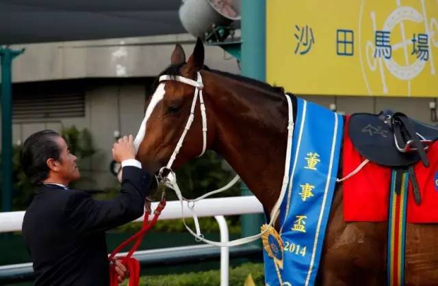 “将男”!上季“最佳长途马”正式退役