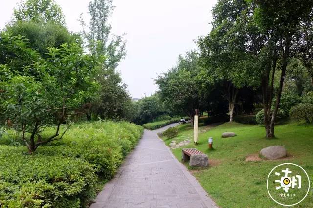 重庆桂花园景点,重庆桂花公园免费