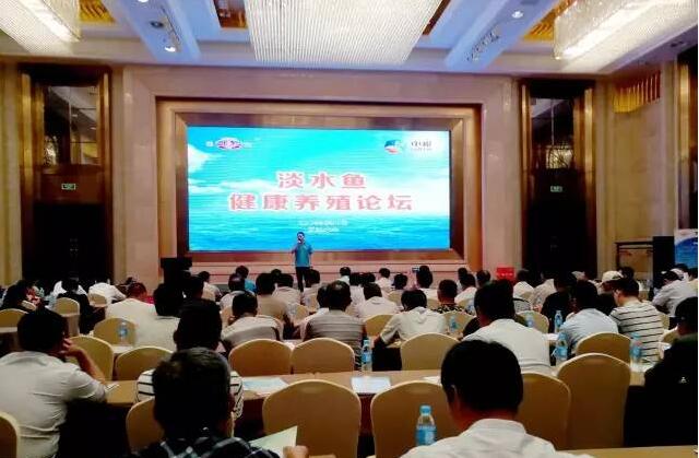 客户积极订购,如何买中粮饲料