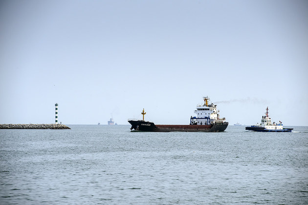 达人映像矶钓发烧友带你体验黑鲷天堂