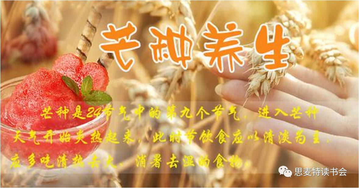 六月本草|懂得放下,虽枯犹荣的夏枯草