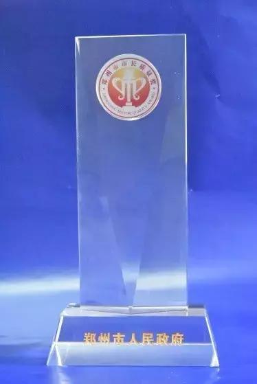 海马奖牌,海马奖