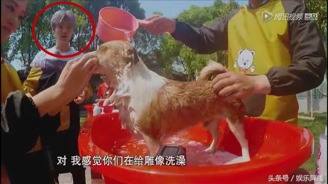 乔欣和鹿晗的最佳搭配,乔欣鹿晗综艺炒cp